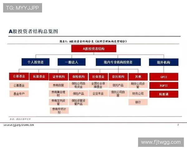 重庆排球队实力深度剖析与对比探讨全景分析 重庆排球队实力深度剖析与对比探讨全景分析