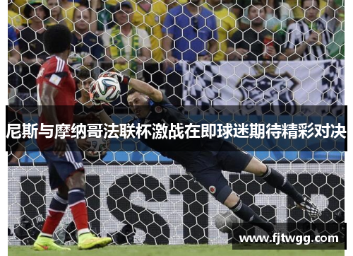 尼斯与摩纳哥法联杯激战在即球迷期待精彩对决